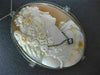 ANTIQUE EXTRA LARGE .25CT OLD MINE DIAMOND 14K WHITE GOLD CAMEO PENDANT PIN 1918