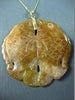 ANTIQUE LARGE AAA CARNELIAN HAND CRAFTED 14KT Y GOLD LUCKY CHARM PENDANT #22356