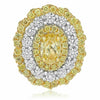 LARGE 2.42CT WHITE & FANCY YELLOW DIAMOND 18KT 2 TONE GOLD OVAL CLIP ON EARRINGS