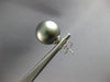 ESTATE LARGE AAA TAHITIAN PEARL 14KT WHITE GOLD 3D 13MM CLASSIC STUD EARRINGS