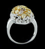 LARGE 2.95CT MULTI COLOR DIAMOND 18K 2 TONE GOLD CLUSTER MULTI SHAPE ETOILE RING
