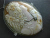 ANTIQUE EXTRA LARGE .25CT OLD MINE DIAMOND 14K WHITE GOLD CAMEO PENDANT PIN 1918