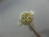 ESTATE WIDE .85CT WHITE & FANCY YELLOW DIAMOND 14K YELLOW GOLD HALO CLUSTER RING