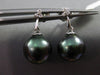 ESTATE .06CT DIAMOND 14KT WHITE GOLD AAA TAHITIAN PEARL 3 STONE HANGING EARRINGS