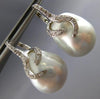 EXTRA LARGE .32CT DIAMOND & AAA SOUTH SEA PEARL 18KT WHITE GOLD HANGING EARRINGS