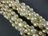 ESTATE AAA SOUTH SEA PEARL 14KT YELLOW GOLD MULTI STRAND BARREL NECKLACE #EVE001