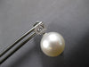 LARGE .23CT DIAMOND & AAA SOUTH SEA PEARL 18KT WHITE GOLD ROUND HANGING EARRINGS