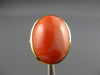 ANTIQUE WIDE AAA CORAL 14KT YELLOW GOLD 3D CLASSIC OVAL FUN RING #27147
