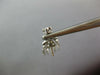 .52CT DIAMOND 14KT WHITE GOLD 3D FILIGREE MILGRAIN CHANDELIER HANGING EARRINGS