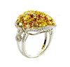 EXTRA LARGE 3.65CT MULTI COLOR DIAMOND 18KT 2 TONE GOLD MULTI SHAPE CLUSTER RING
