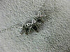 ESTATE .13CT DIAMOND 14K WHITE GOLD CLASSIC PAVE THREE STAR FLOWER LOVE NECKLACE
