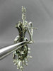 LARGE 5.34CT WHITE & CHOCOLATE FANCY DIAMONDS 14KT WHITE & BLACK GOLD EARRINGS