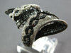 LARGE 4.36CT WHITE & BLACK DIAMOND 14K WHITE GOLD CRISS CROSS INFINITY LOVE RING