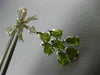 EXTRA LARGE 12.76CT DIAMOND & AAA PERIDOT 14K WHITE GOLD 3D BOW HANGING EARRINGS
