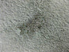 ESTATE .13CT DIAMOND 14K WHITE GOLD CLASSIC PAVE THREE STAR FLOWER LOVE NECKLACE