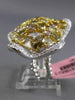 ESTATE MASSIVE 7.75CT MULTI COLOR DIAMOND 18KT TWO TONE GOLD 3D STARFISH RING