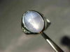 ESTATE LARGE 9.14CT DIAMOND AAA STAR SAPPHIRE 14KT WHITE GOLD 3 STONE MENS RING