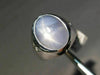 ESTATE LARGE 9.14CT DIAMOND AAA STAR SAPPHIRE 14KT WHITE GOLD 3 STONE MENS RING