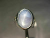 ESTATE LARGE 9.14CT DIAMOND AAA STAR SAPPHIRE 14KT WHITE GOLD 3 STONE MENS RING