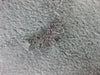 ESTATE .13CT DIAMOND 14K WHITE GOLD CLASSIC PAVE THREE STAR FLOWER LOVE NECKLACE