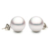 ESTATE AAA 13.5MM SOUTH SEA PEARL 14K WHITE GOLD CLASSIC SOLITAIRE STUD EARRINGS