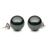 ESTATE AAA 13MM TAHITIAN PEARL 14KT WHITE GOLD CLASSIC ROUND SOLITAIRE EARRINGS