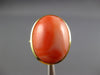 ANTIQUE WIDE AAA CORAL 14KT YELLOW GOLD 3D CLASSIC OVAL FUN RING #27147