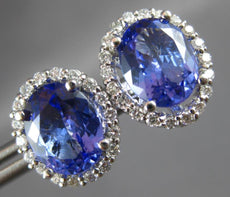 LARGE 5.62CT DIAMOND & AAA TANZANITE 14K WHITE GOLD OVAL HALO SCREWBACK EARRINGS