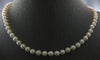 LONG CLASSIC AAA SOUTH SEA PEARL 14KT WHITE GOLD 5.5MM FILIGREE NECKLACE #27765