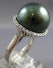 LARGE .37CT DIAMOND & AAA TAHITIAN PEARL 18KT WHITE GOLD CLASSIC HALO LOVE RING
